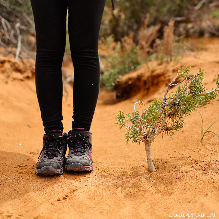 Photo Guide: Hiking the Devils Garden Trail Arches National Park // localadventurer.com