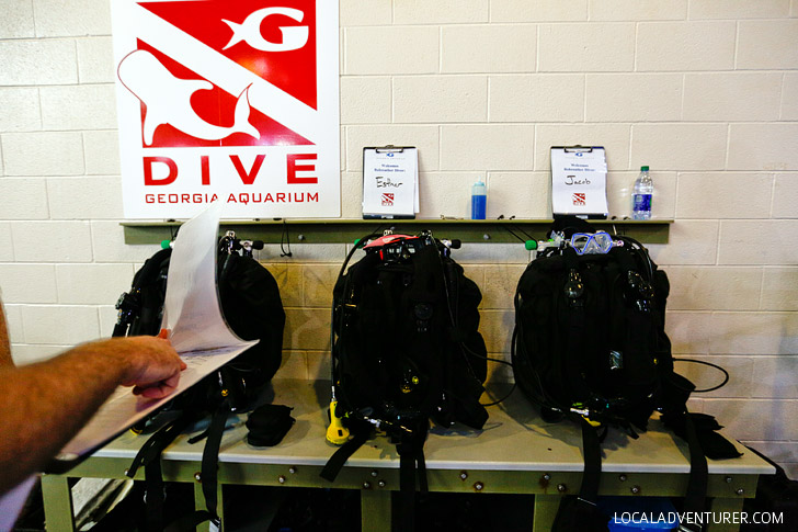 Rebreather Diving in Georgia Aquarium // localadventurer.com