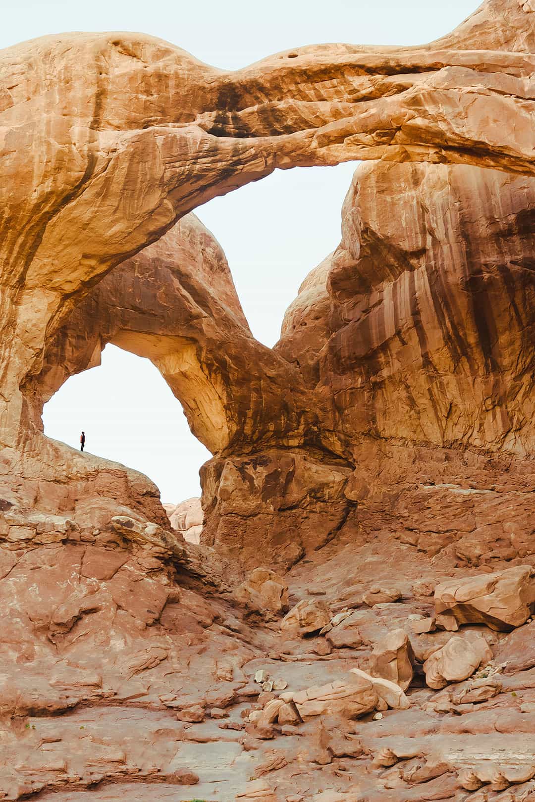 Double Arch Arches National Park