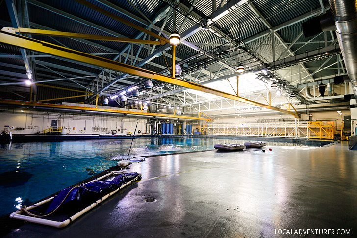 The Georgia Aquarium Behind the Scenes - largest aquarium in the western hemisphere // localadventurer.com