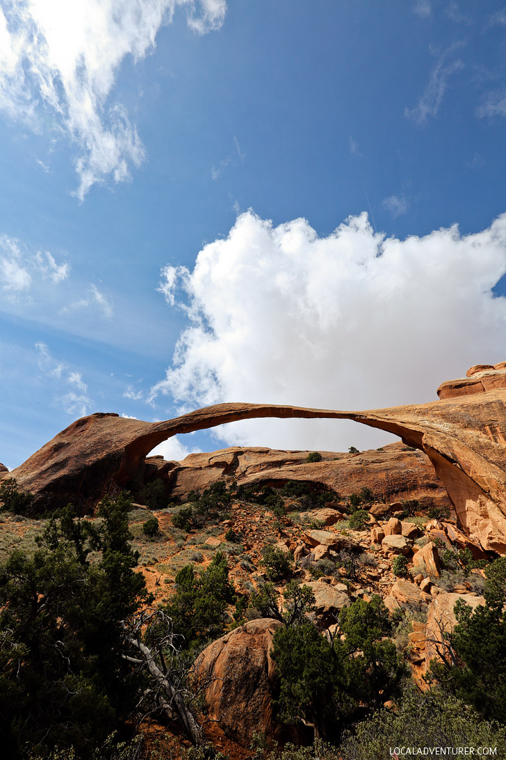 Landscape Arch Arches National Park - one of the longest natural arches in the world // localadventurer.com