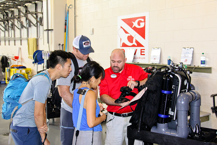 Rebreather Dive Georgia Aquarium // localadventurer.com