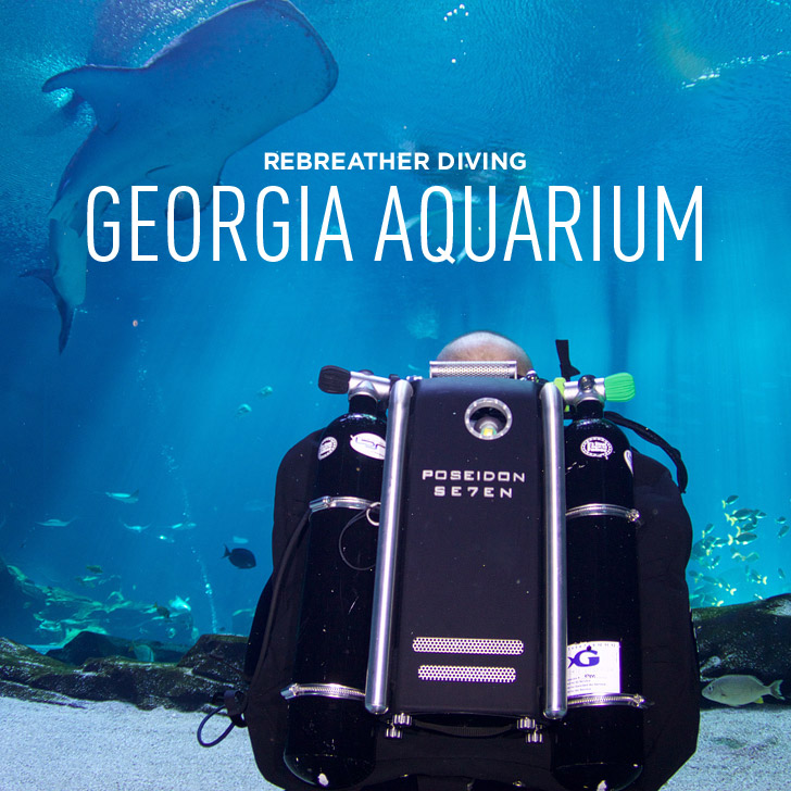 What it's like Rebreather Diving in the Georgia Aquarium // localadventurer.com