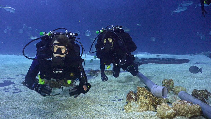 Rebreather Diving Georgia Aquarium // localadventurer.com