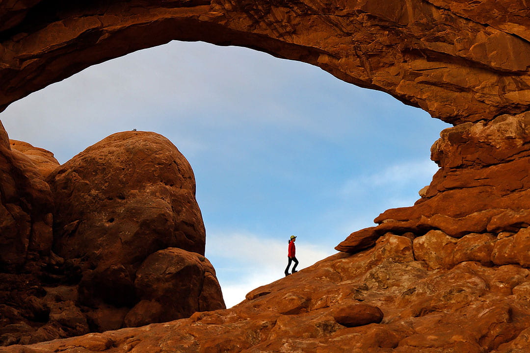 are dogs allowed in arches national parks