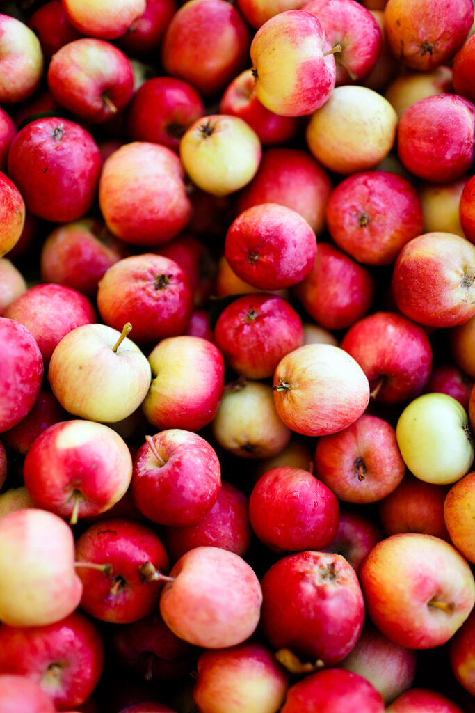 Apple Pickin in the Hood River County Fruit Loop Oregon // localadventurer.com