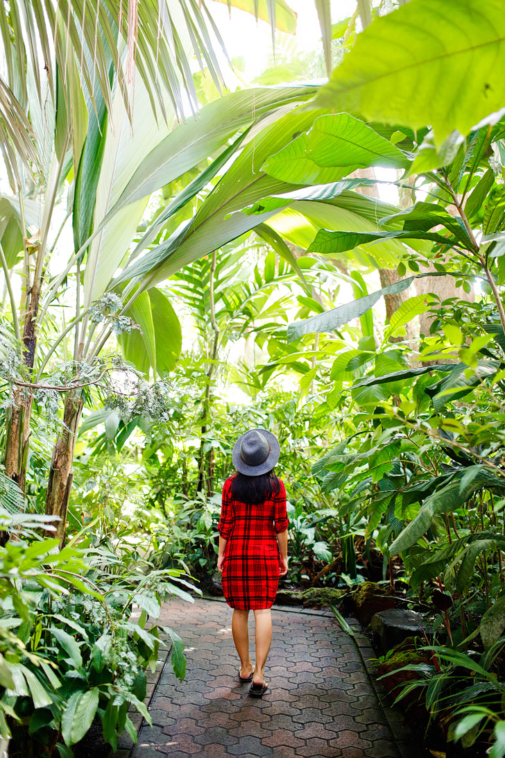 Atlanta Botanical Garden // localadventurer.com