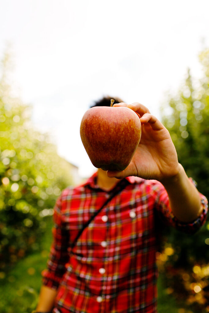 Hood River U Pick Apples - Fall in Oregon // localadventurer.com