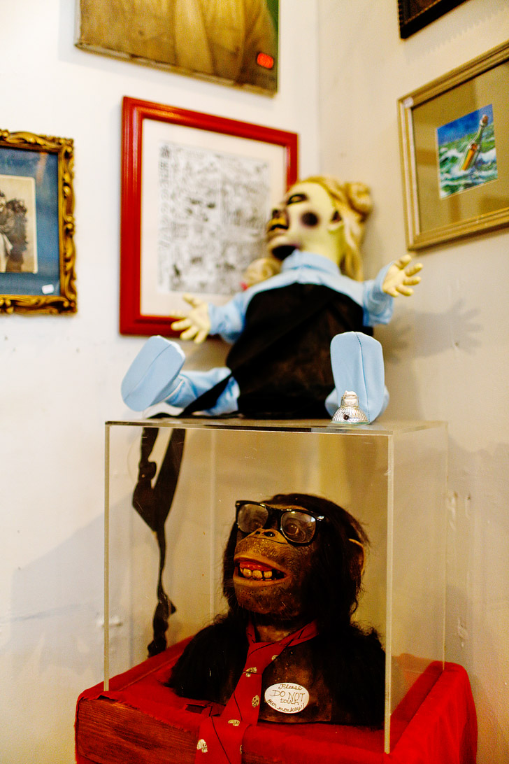 Weird Portland Attractions - the Freakybuttrue Peculiarium and Museum // localadventurer.com
