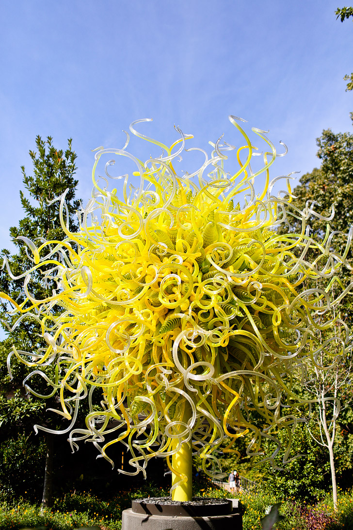 Chihuly in the Garden Exhibit, Atlanta Georgia // localadventurer.com