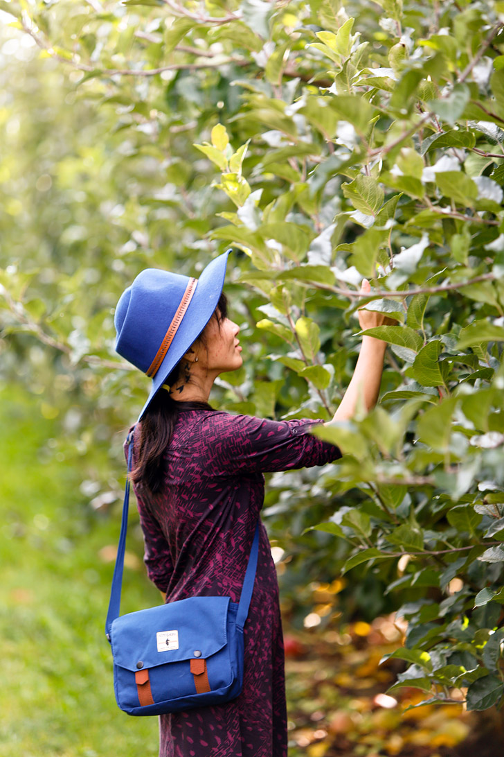 Apple Picking in the Mount Hood Fruit Loop - Oregon Autumn // localadventurer.com