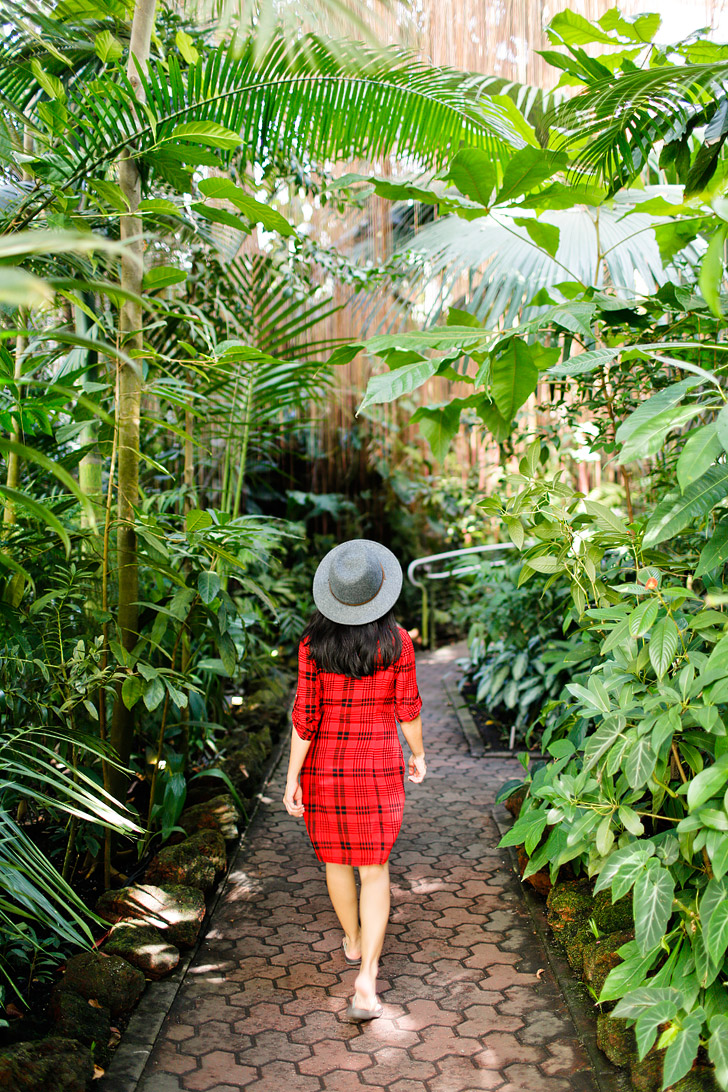 Atlanta Botanical Garden - a 30 acre botanical garden in Midtown Atlanta that hosts several world-renowned art exhibits throughout the year. // localadventurer.com