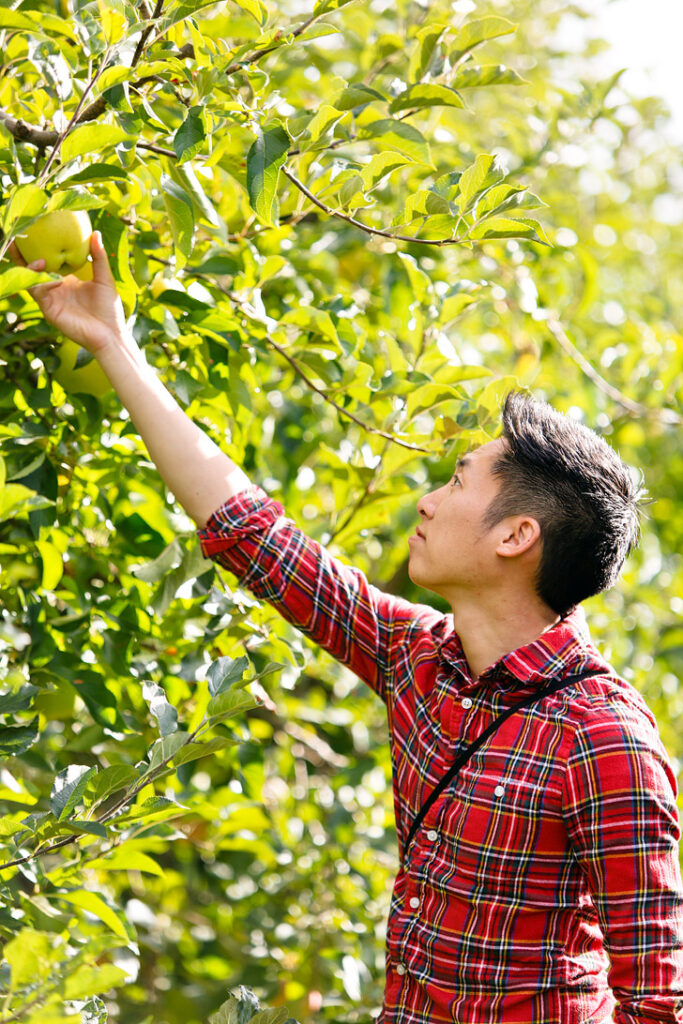 Apple Picking at the Kiyokawa Orchard Hood River Fruit Loop Oregon USA // localadventurer.com