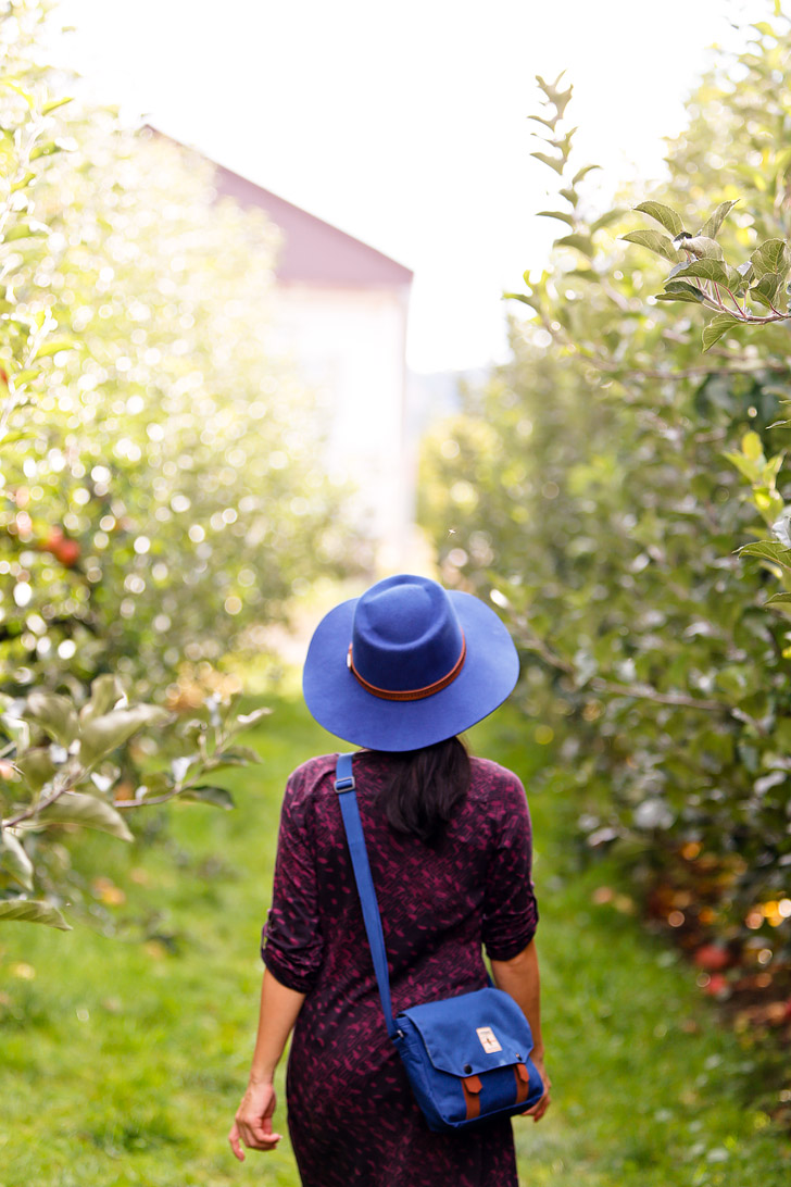 kiyokawa family orchards parkdale oregon