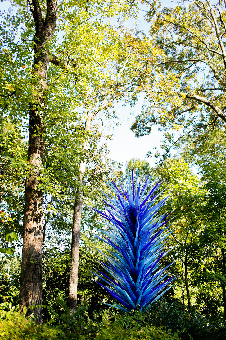 Atlanta Botanical Garden Chihuly Exhibit // localadventurer.com