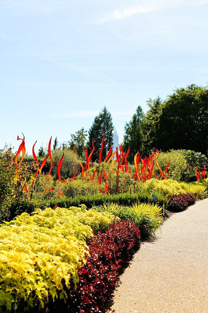 Chihuly at the Atlanta Botanical Garden // localadventurer.com