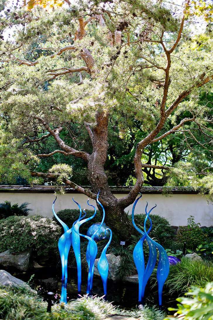 Atlanta Botanical Garden Chihuly in the Garden Exhibit // localadventurer.com
