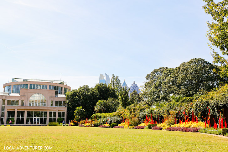 Atlanta Botanical Garden Chihuly Exhibit // localadventurer.com