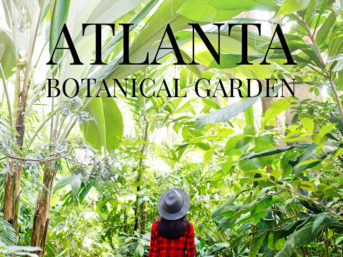 Atlanta Botanical Garden Archives Local Adventurer Travel