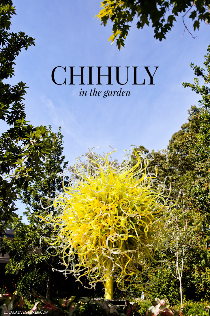 Dale Chihuly is a world renowned artist and one of his exhibits is at the Atlanta Botanical Garden // localadventurer.com