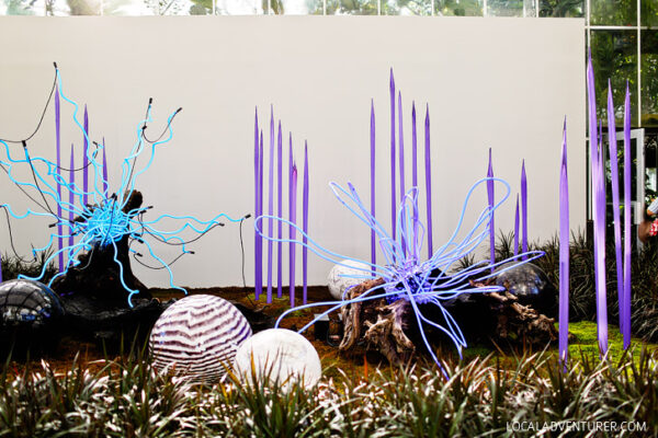 Chihuly in the Garden at the Atlanta Botanical Garden