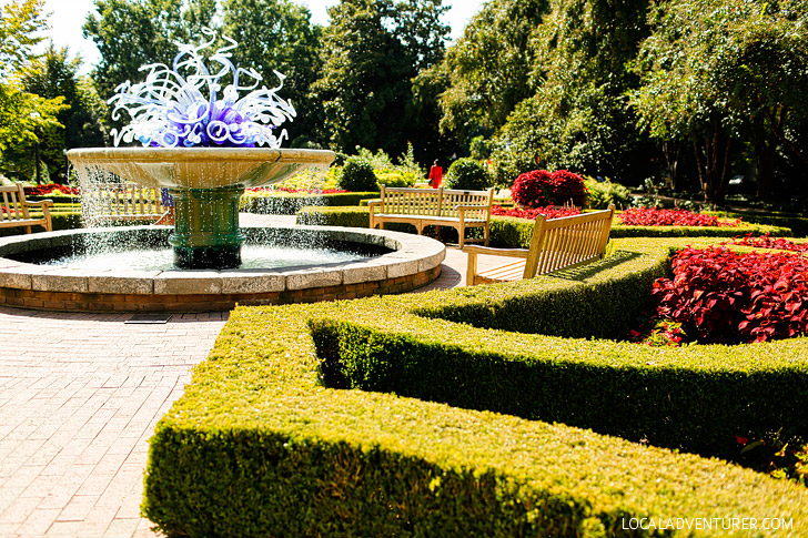 Chihuly in the Garden ATL GA // localadventurer.com