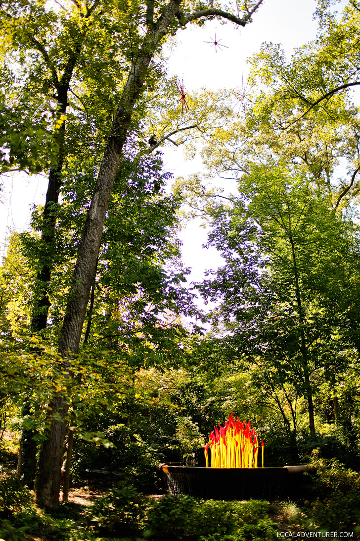 Chihuly in the Garden at the Atlanta Botanical Garden // localadventurer.com