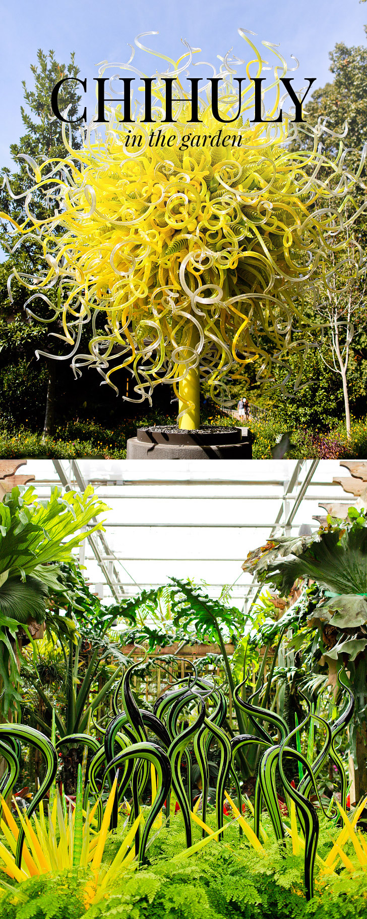 Chihuly in the Garden Exhibit at the Atlanta Botanical Garden // localadventurer.com