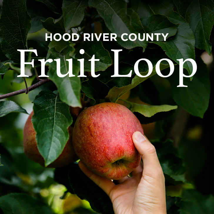 Apple Picking in the Hood River Fruit Loop Oregon