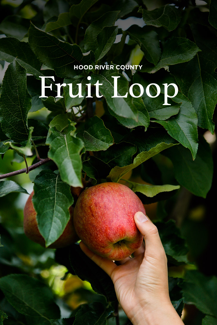 Apple Picking in the Oregon Fruit Loop // localadventurer.com