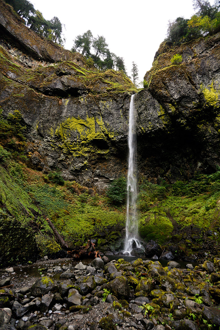 Elowah Falls Oregon // localadventurer.com