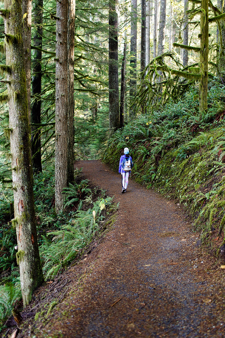 Trail of Ten Falls at Silver Falls State Park Oregon - You see 10+ waterfalls on a single hike! // localadventurer.com