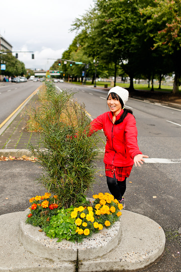 Mill Ends Park in Portland Oregon is the Smallest Park in the World // localadventurer.com