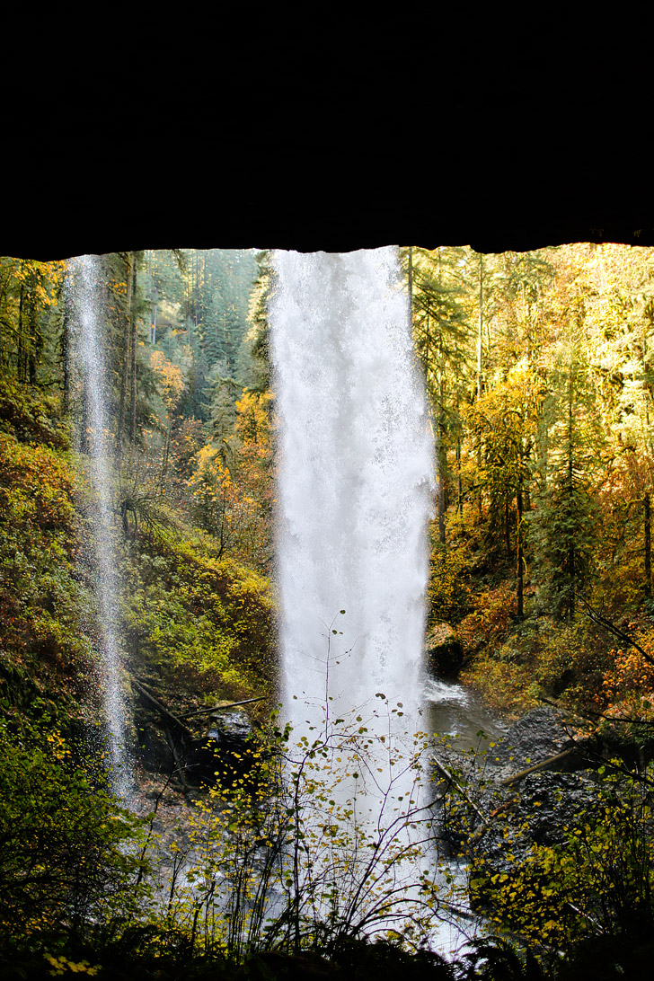 North Falls Oregon // localadventurer.com