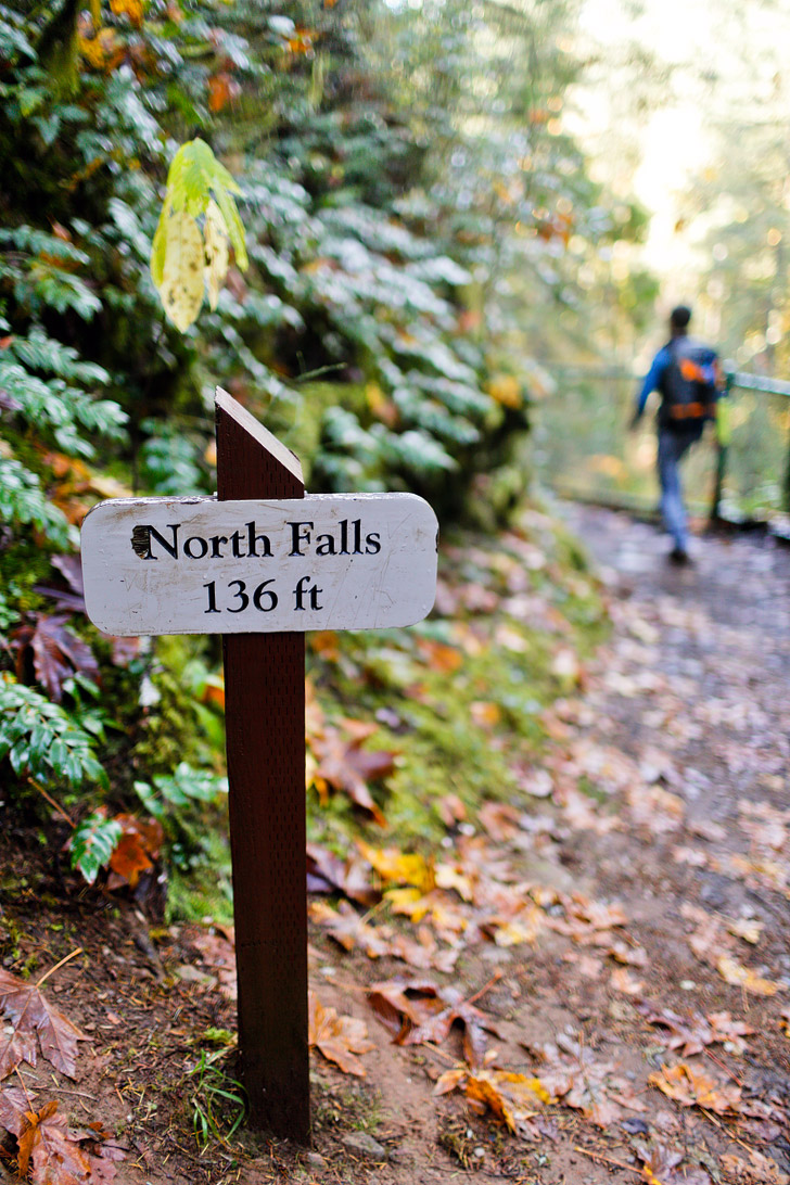 Oregon Waterfall Hikes // localadventurer.com