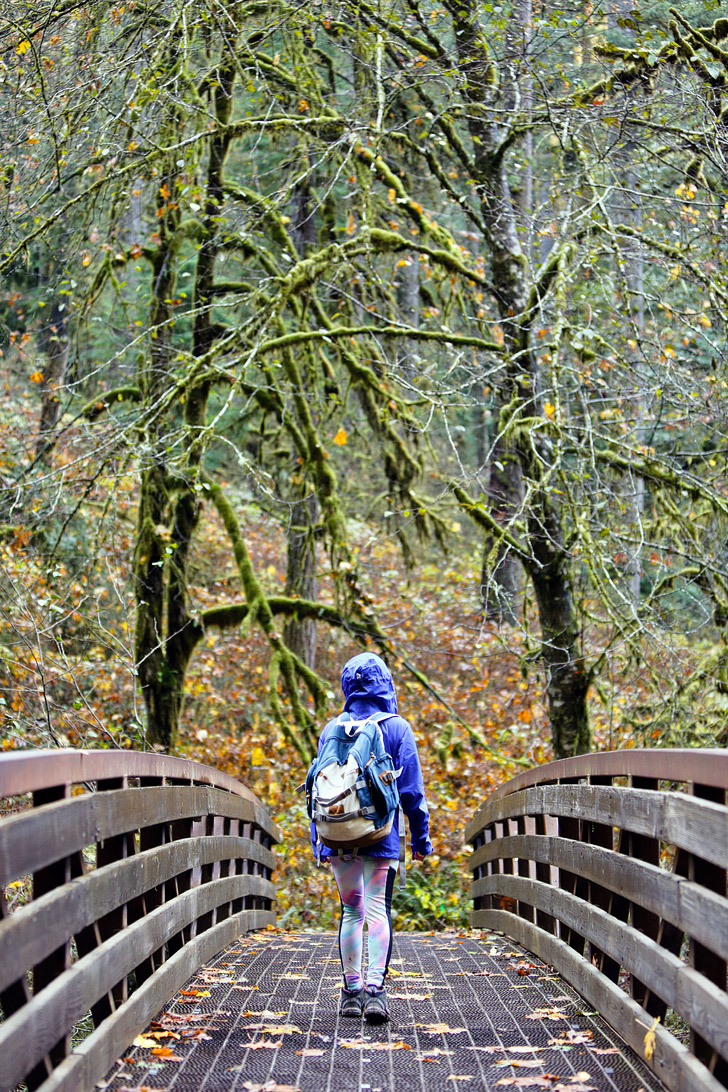 Silver Falls State Park Hikes // localadventurer.com