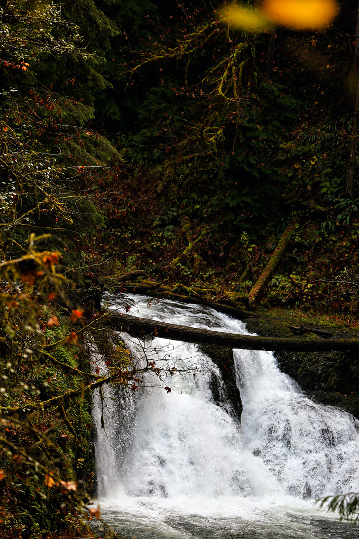 Twin Falls - Oregon Waterfall hikes // localadventurer.com