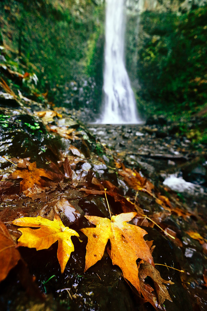 Double Falls - Silver Falls State Park Oregon // localadventurer.com