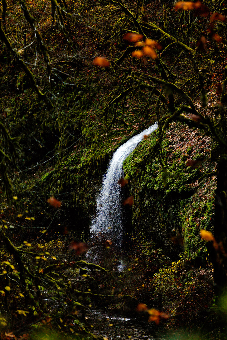 Trail of Ten Falls Hike in Oregon // localadventurer.com