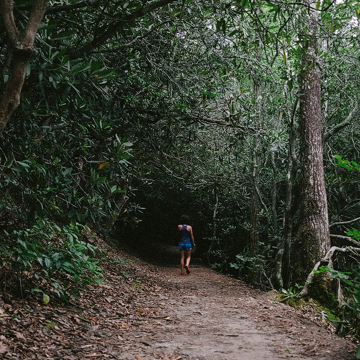 Trail run at Bent Creek (101 Things to Do in Asheville NC) // localadventurer.com