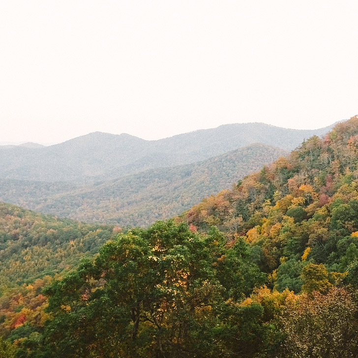 Leaf peep along the Blue Ridge Parkway (101 Things to Do in Asheville NC) // localadventurer.com