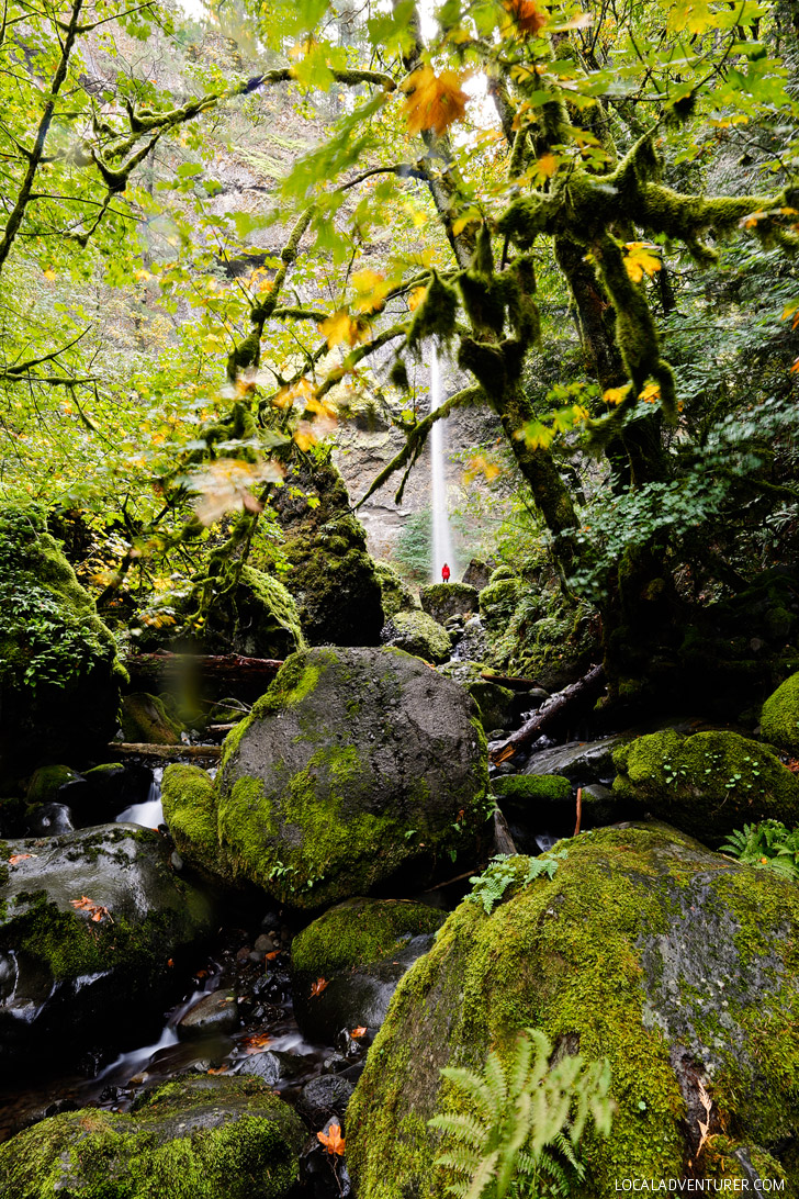 Elowah Falls Hike Oregon // localadventurer.com