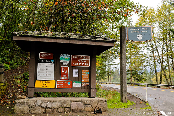 John B Yeon State Park - Trailhead for Elowah Falls // localadventurer.com