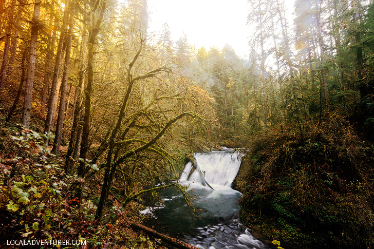 You are currently viewing Trail of Ten Falls Hiking Guide – Silver Falls State Park Oregon