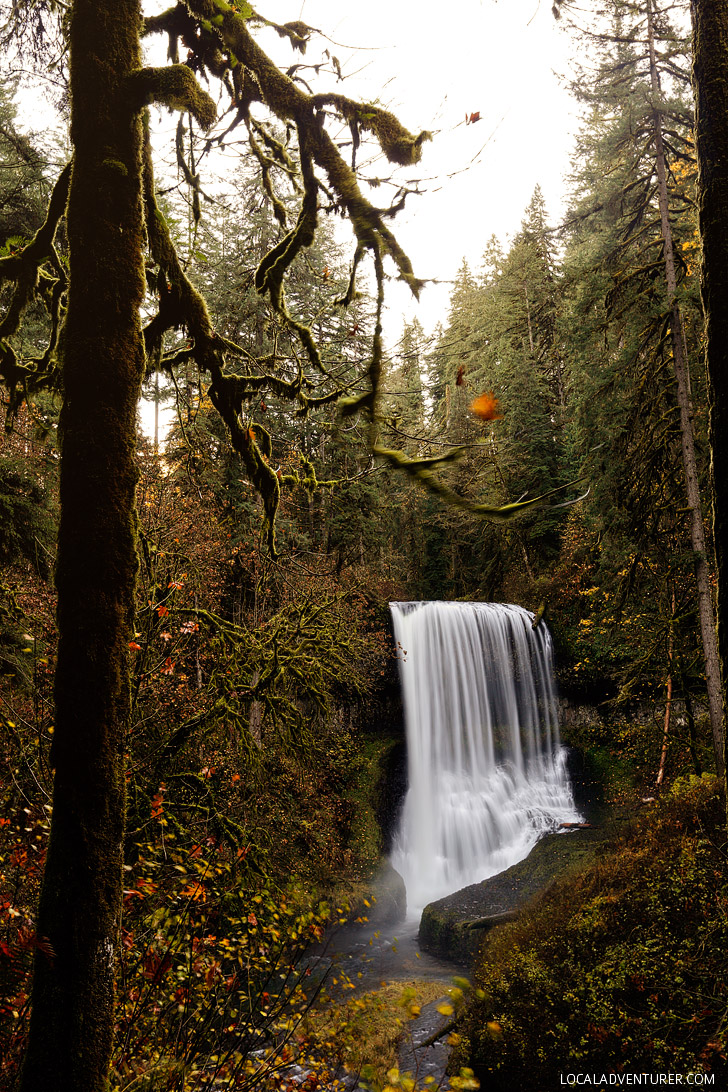 Middle North Falls, Trail of Ten Falls Hike, Silver Falls State Park, Oregon USA // localadventurer.com