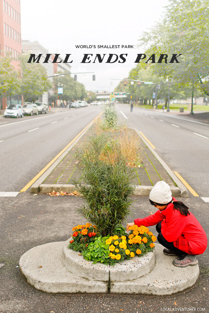 Mill Ends Park in Portland Oregon is the Smallest Park in the World // localadventurer.com