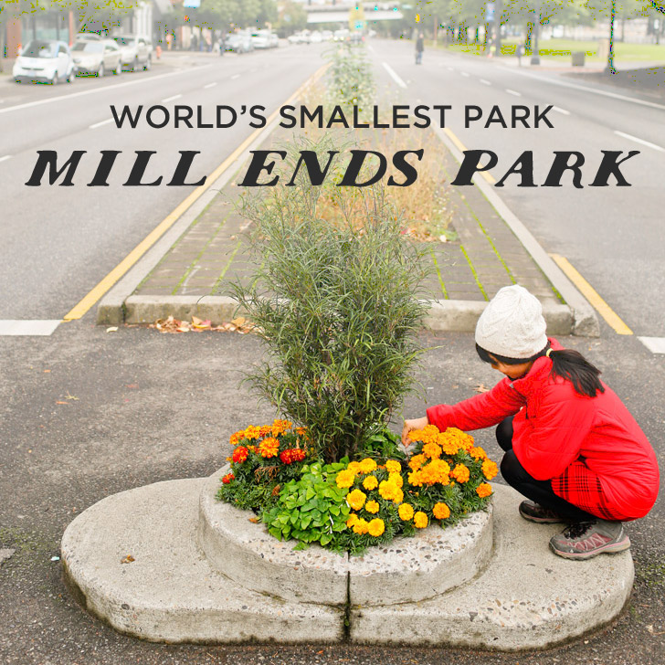 The Smallest Park in the World – Mill Ends Park Portland Oregon