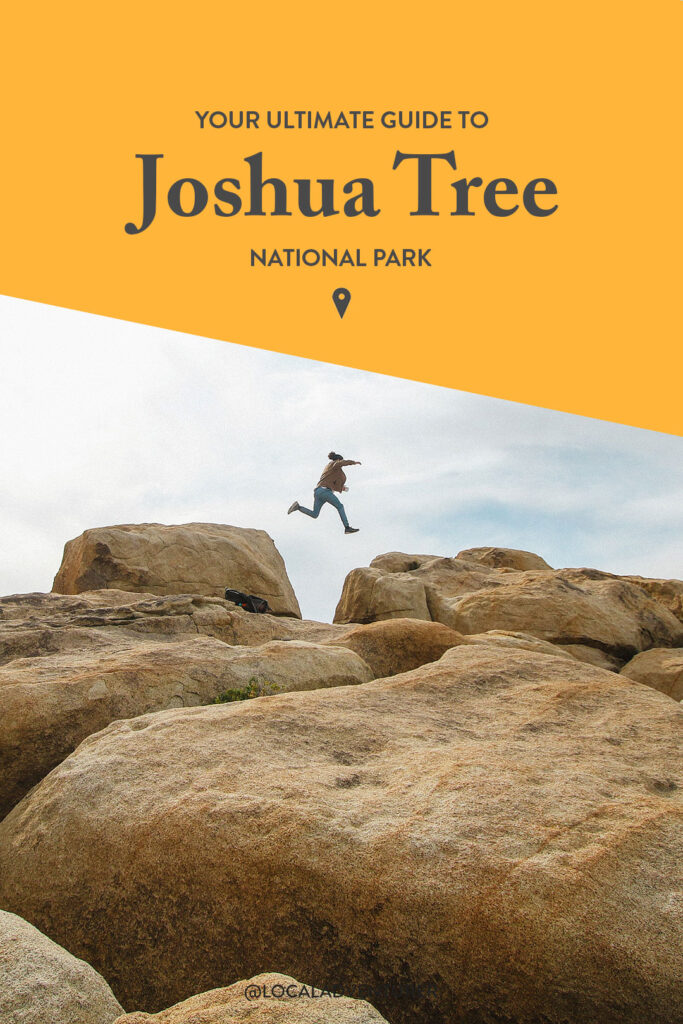 Joshua Tree Things to Do