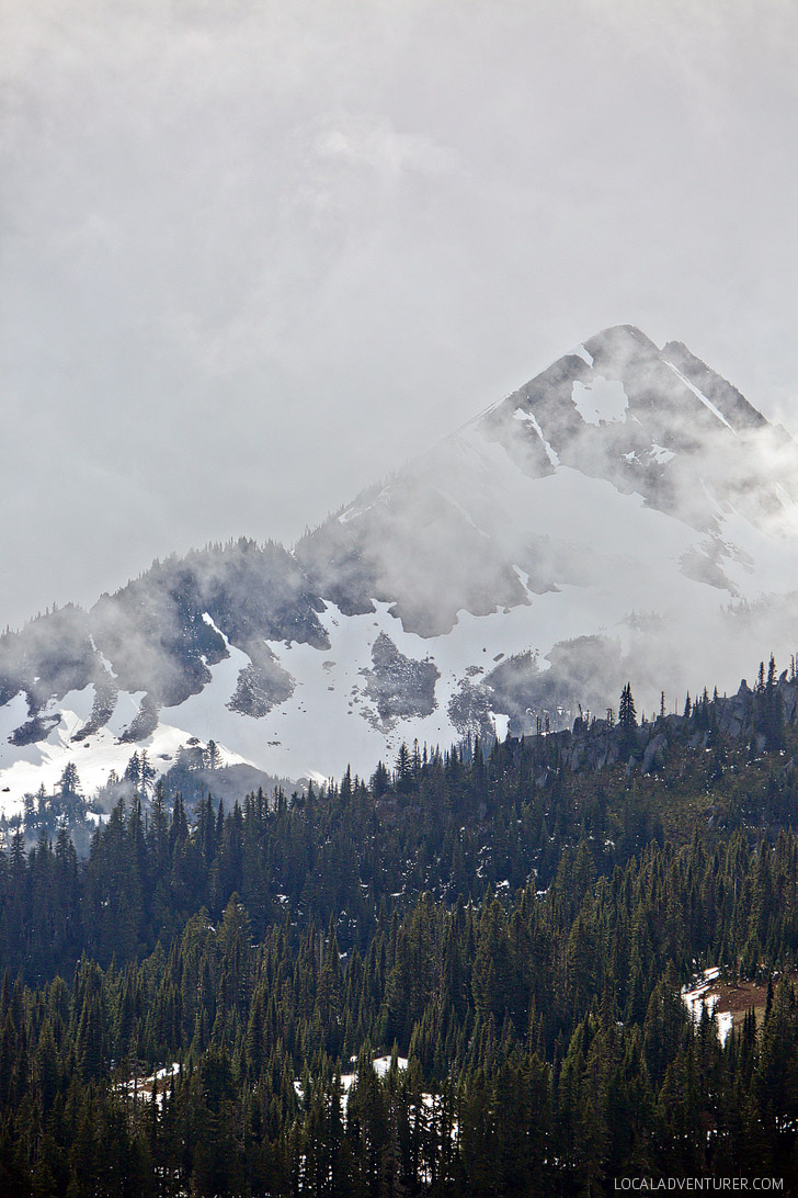 Mount Rainier National Park (15 Best National Parks to Visit in Winter) // localadventurer.com