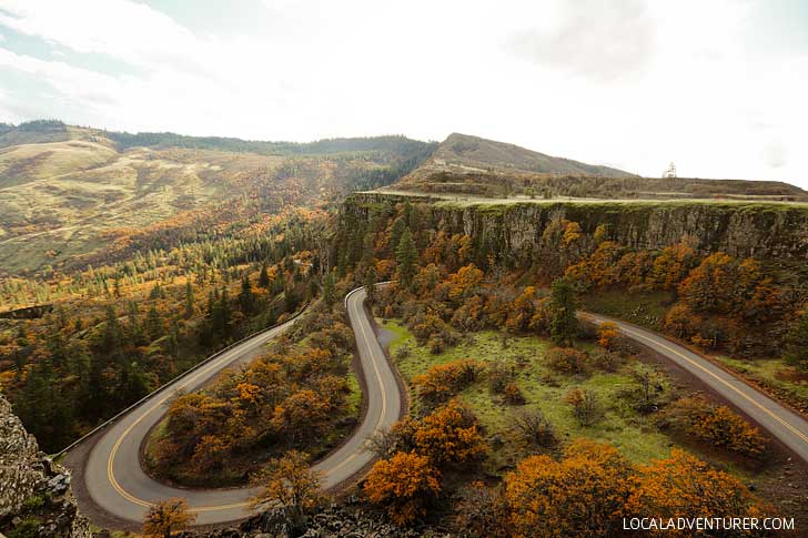 Rowena Crest, Mayer State Park Oregon // localadventurer.com